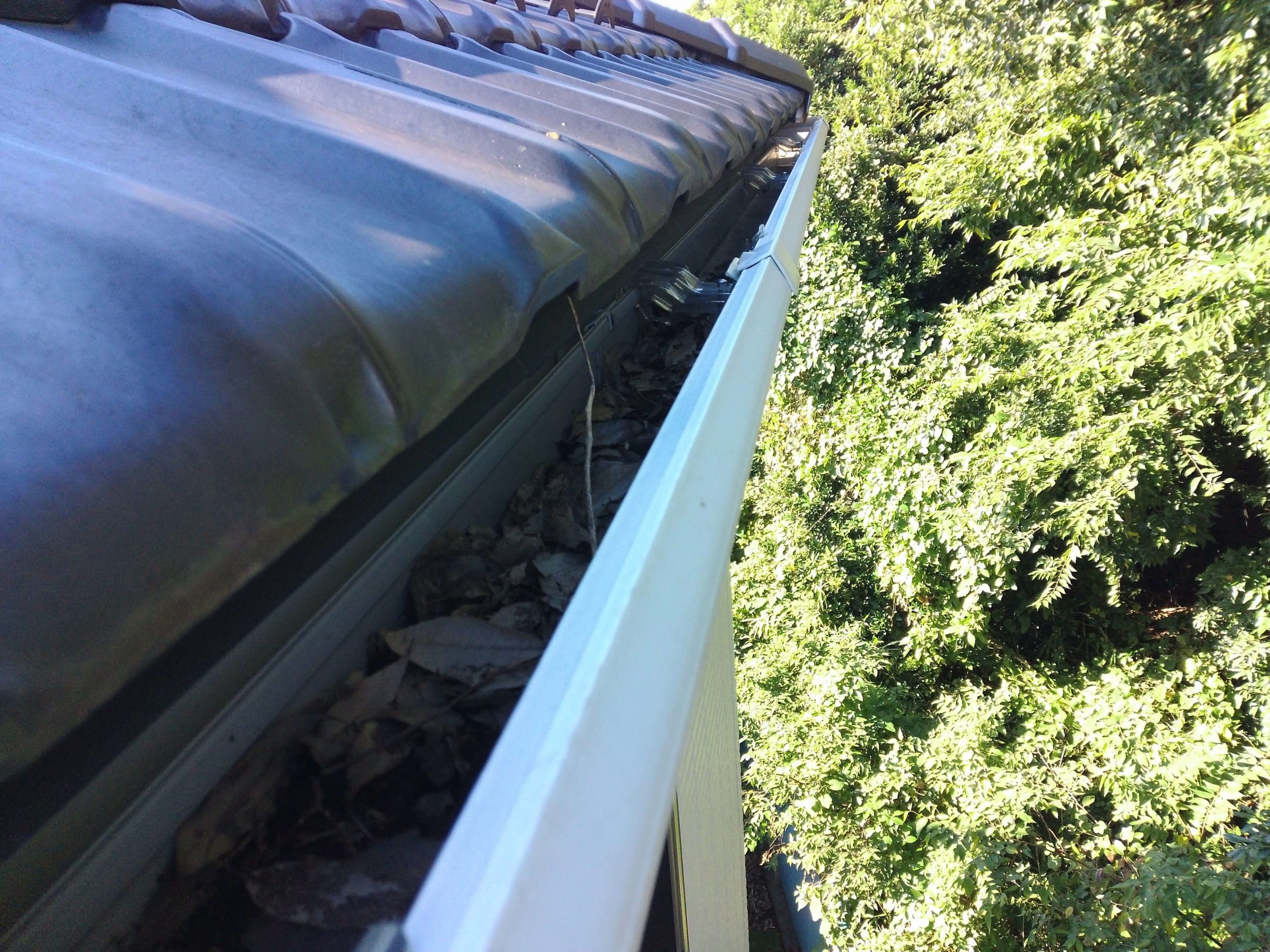 雨といの詰まり