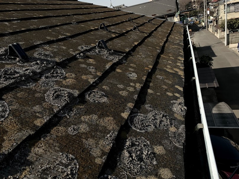 屋根材のコケ・カビ写真