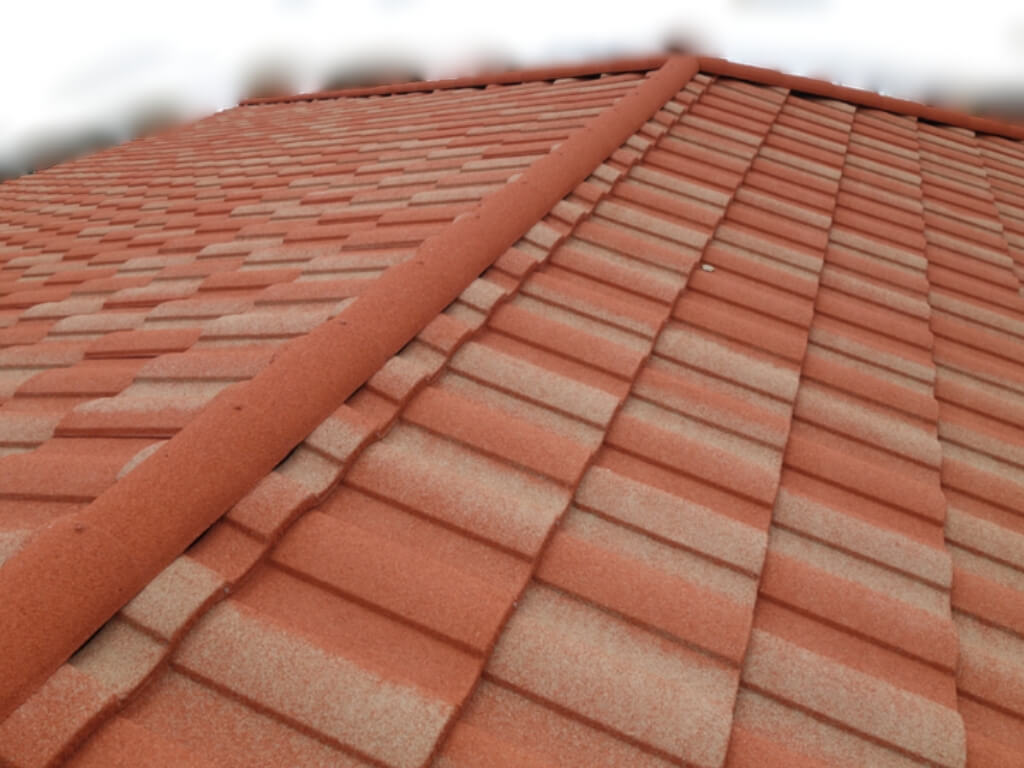 ディーズルーフィング ローマン