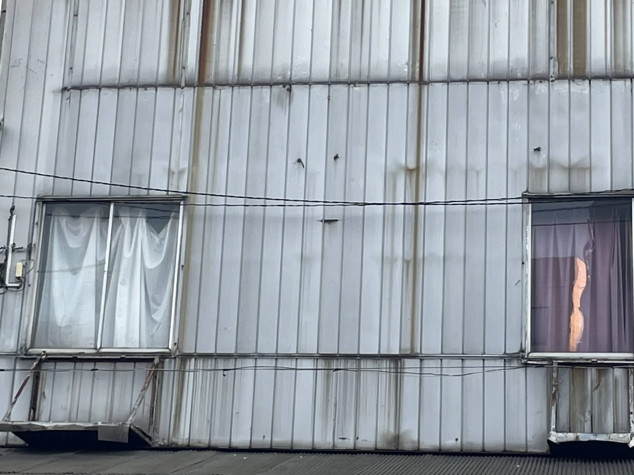 金属サイディングの錆び