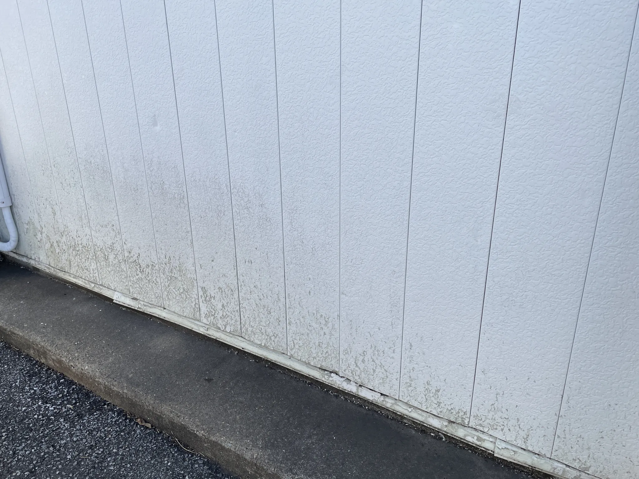 金属サイディングのカビ・藻・コケ