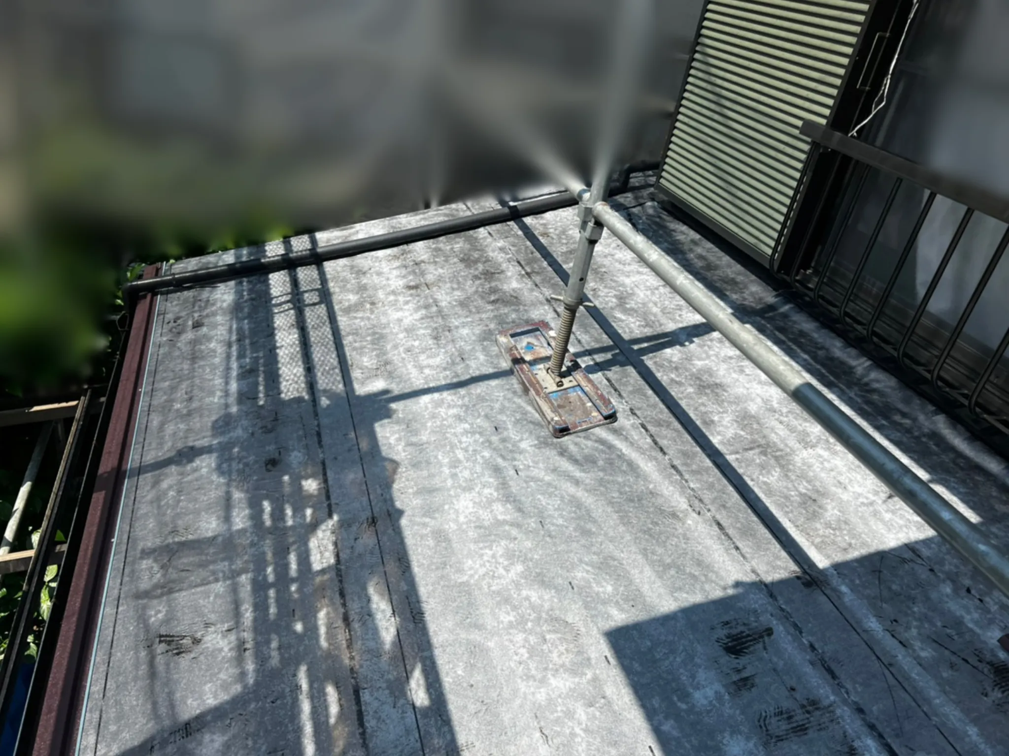 2022年頃のタディスセルフカバー